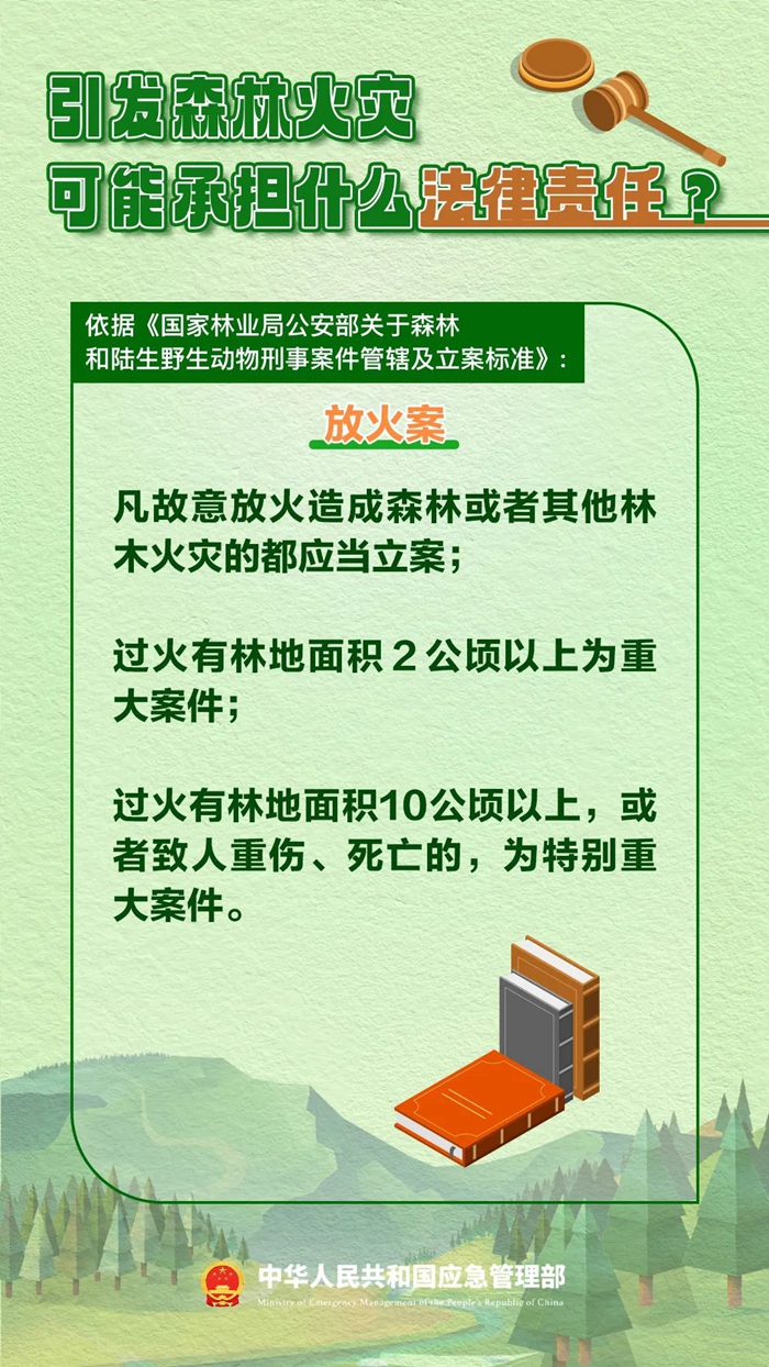 森林圖片2.jpg 森林圖片2.jpg